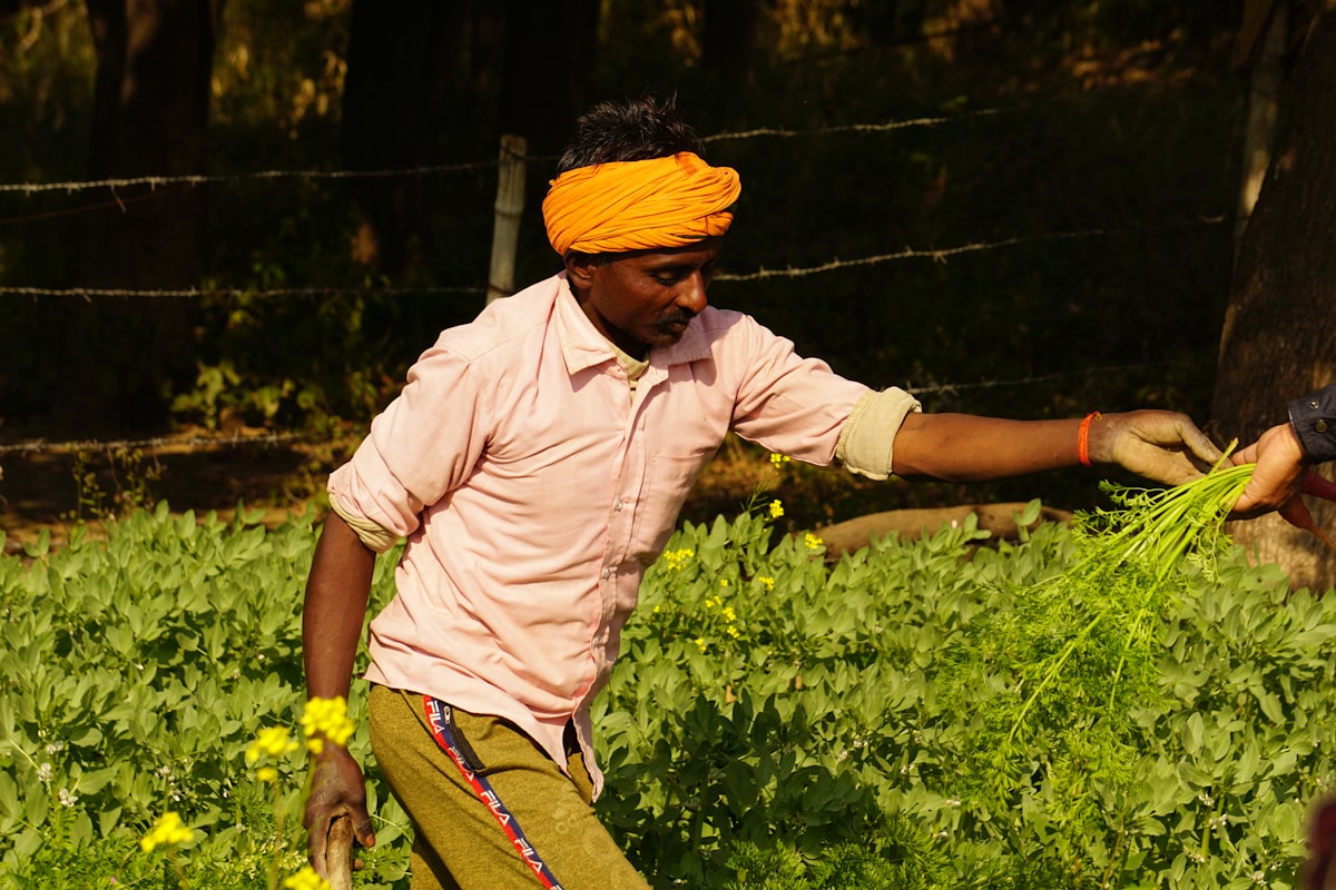 Fresh seasonal produce from local markets